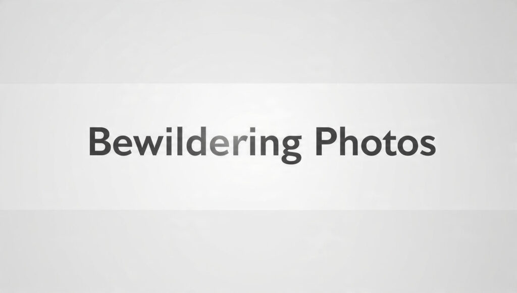 plain background with the text Bewildering Photos written on it placed center